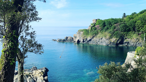 St Catherines Castle, Fowey, Cornwall