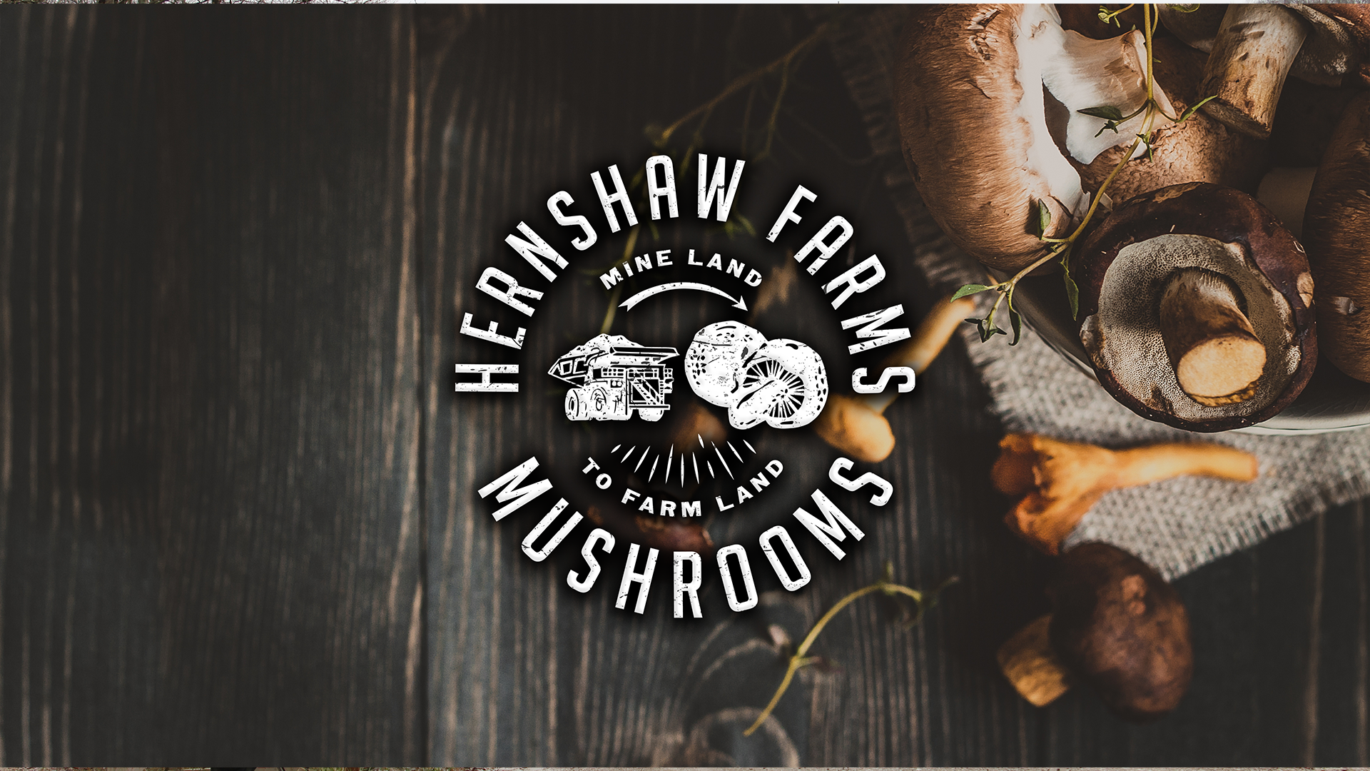 The finest mushrooms and mushroom grow kits are cultivated at Hernshaw Farms in West Virginia.