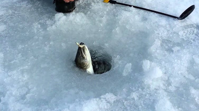 Ice Fishing In Alaska – FishingAmz