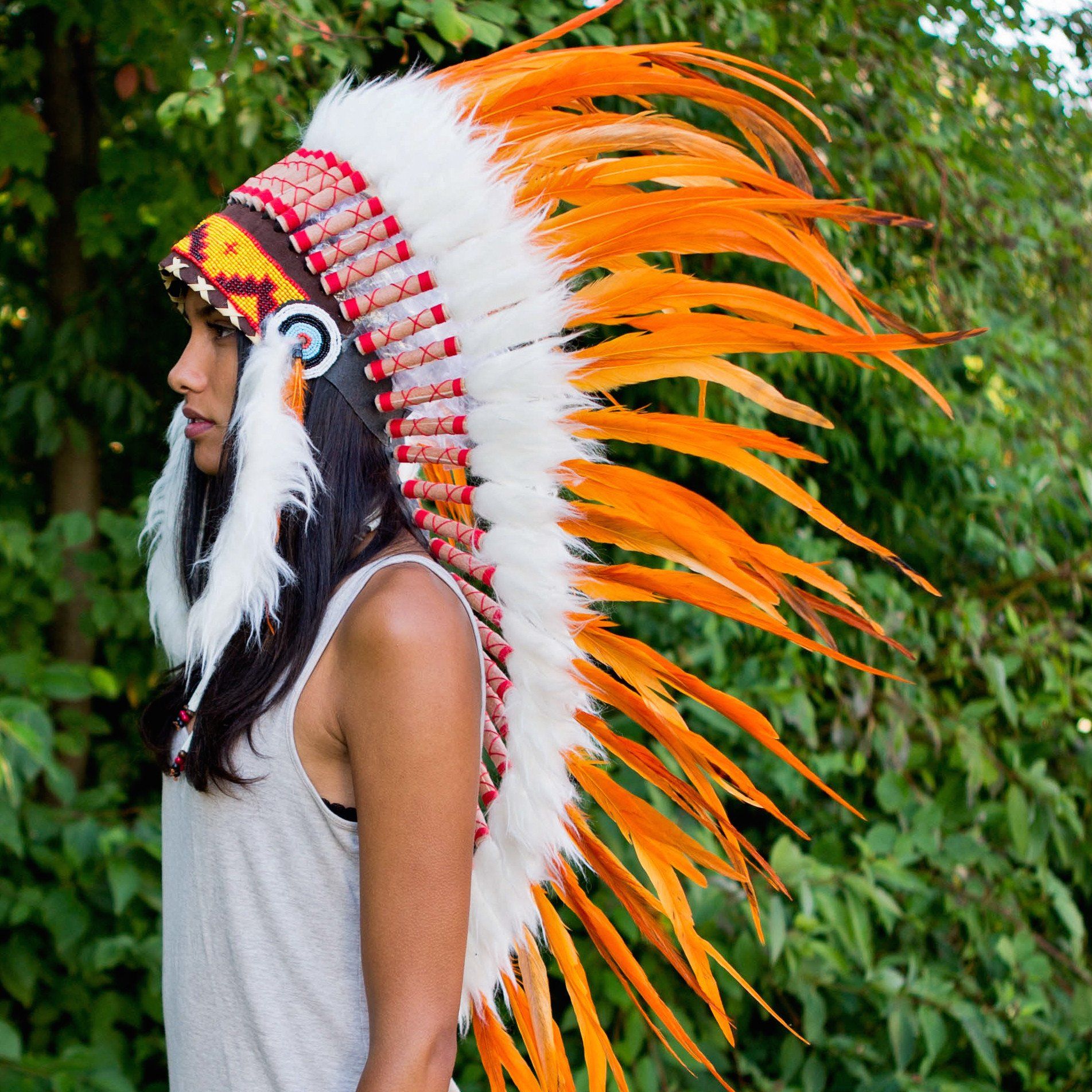 Beauty with a Purpose: The Force Behind Native American Feathers – Indian  Headdress - Novum Crafts