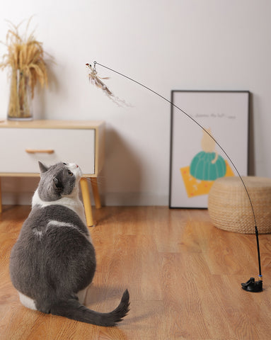 Deinlieblingstier Katzen-Spielzeug mit Saugnapf - vielseitig, langlebig, schult Jagdinstinkt