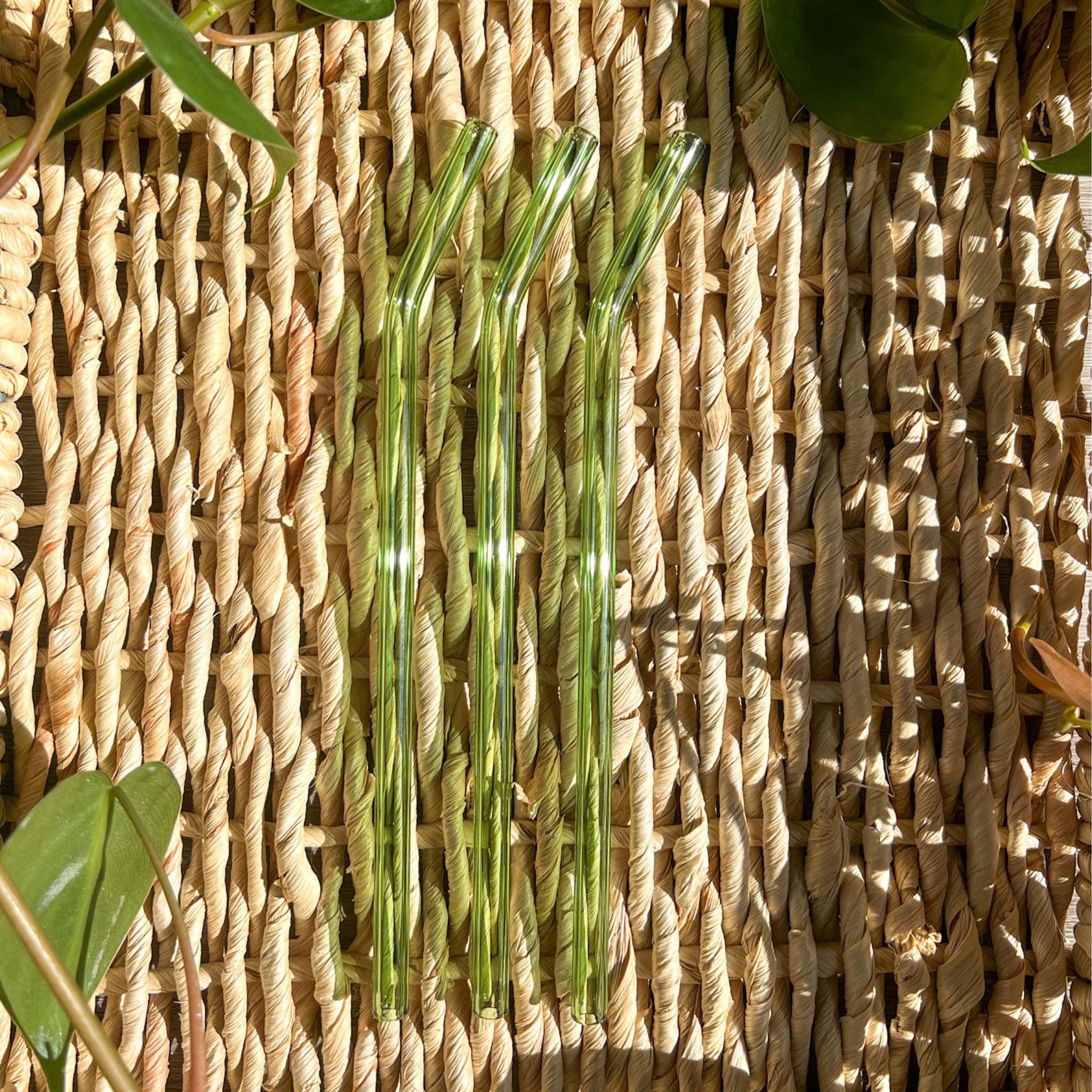 Bamboo Lids For Glass Cups - Buffalo Mercantile