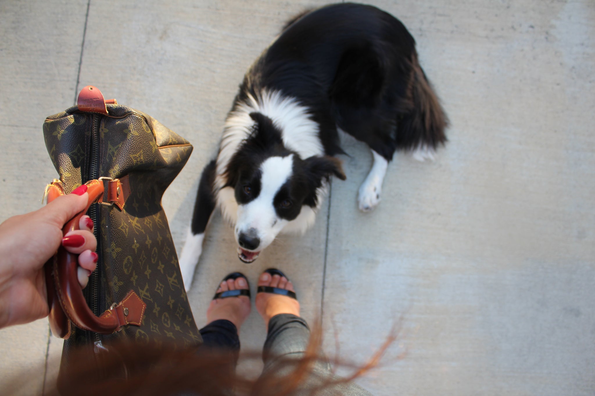 dog sitting at the feet of a woman holding a leash and purse