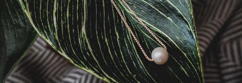 White pearl necklace threaded on gold box chain laying on a plant leaf above a gray and white textured background. Aerial view.