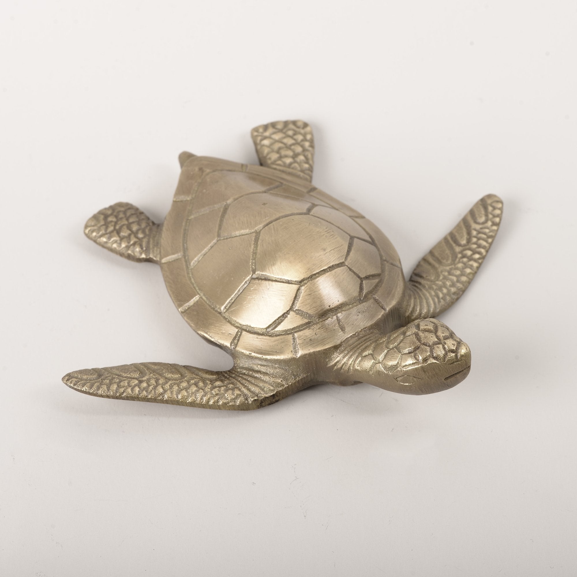 Large Turtle Paper Weight