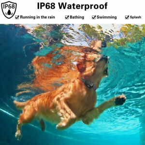 Agora Waterproof Dog Training Collar