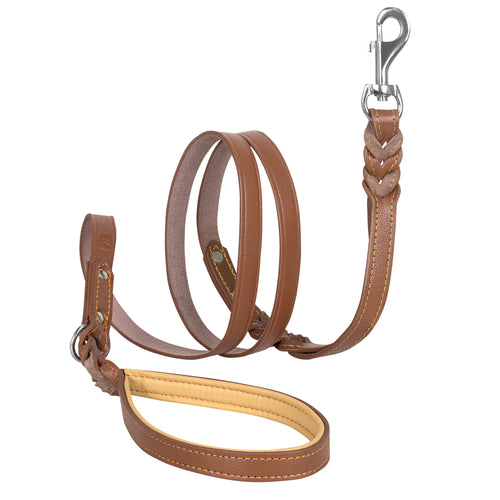 Fairwin Leather Dog Leash 6 Foot - Best Dog Training Leash Heavy Duty for Large Medium Small Dogs ( 5/8, Brown)