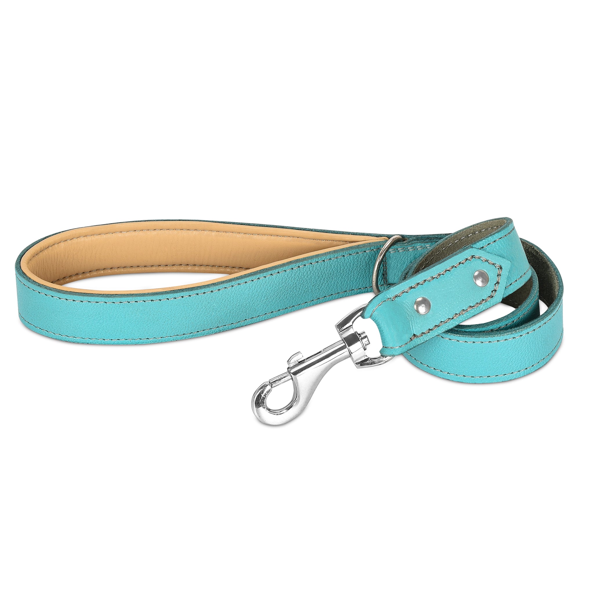 padded dog leash