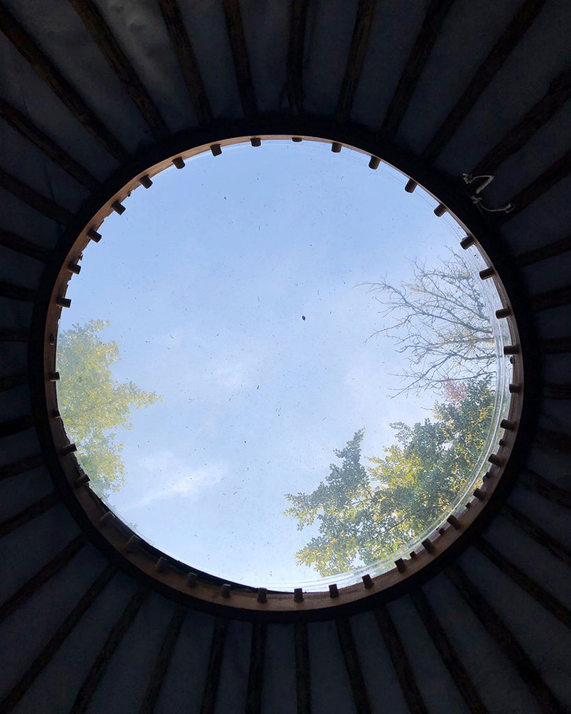 Looking at tree tops and blue sky through the skylight of the tipi