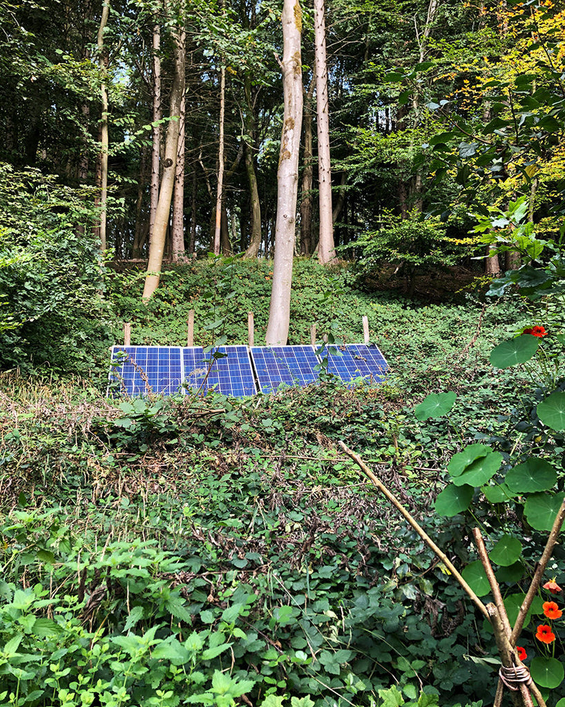 Solar power panels in the forest