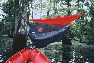 hammock over the swamp