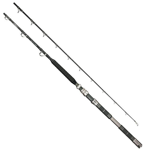 Alphatackle MPG Headquarter standing bout 1652 Big Game Rod for Electr –  North-One Tackle