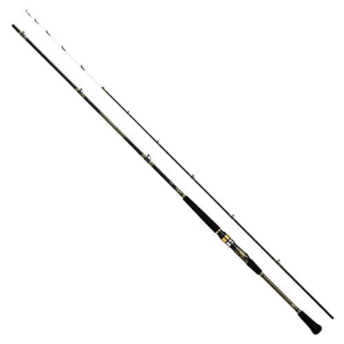 Daiwa ANALYSTER Bishi-Aji MH-170 Offshore Boat Rod 4960652030458