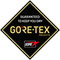 Gore-Tex Icon