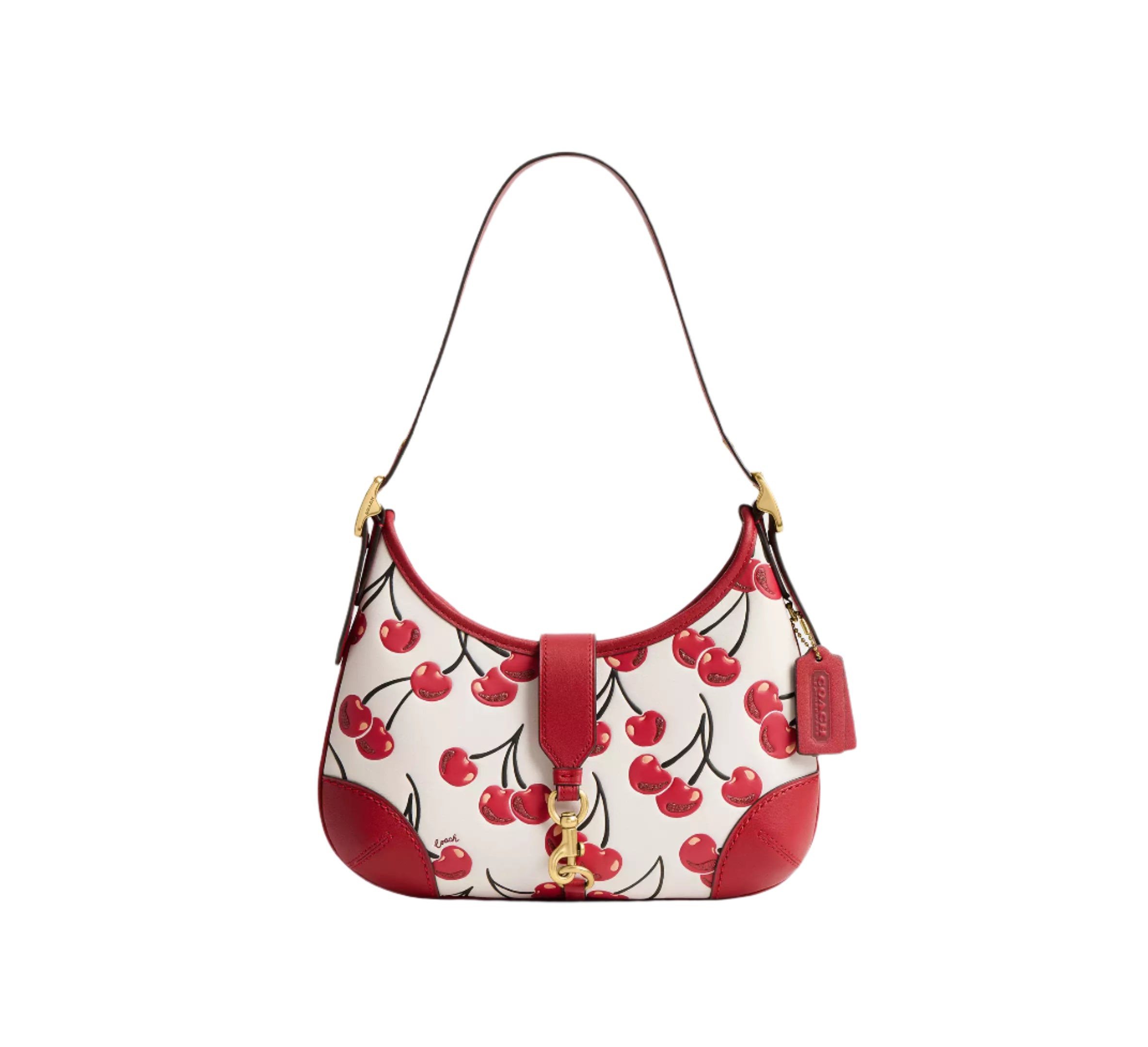 Coach Hamptons Cherry Print Hobo Handbag – ShopCGX