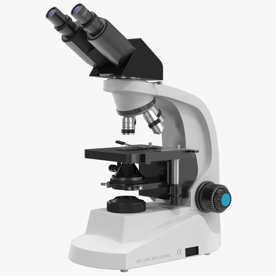 Studying Spores Using A Microscope