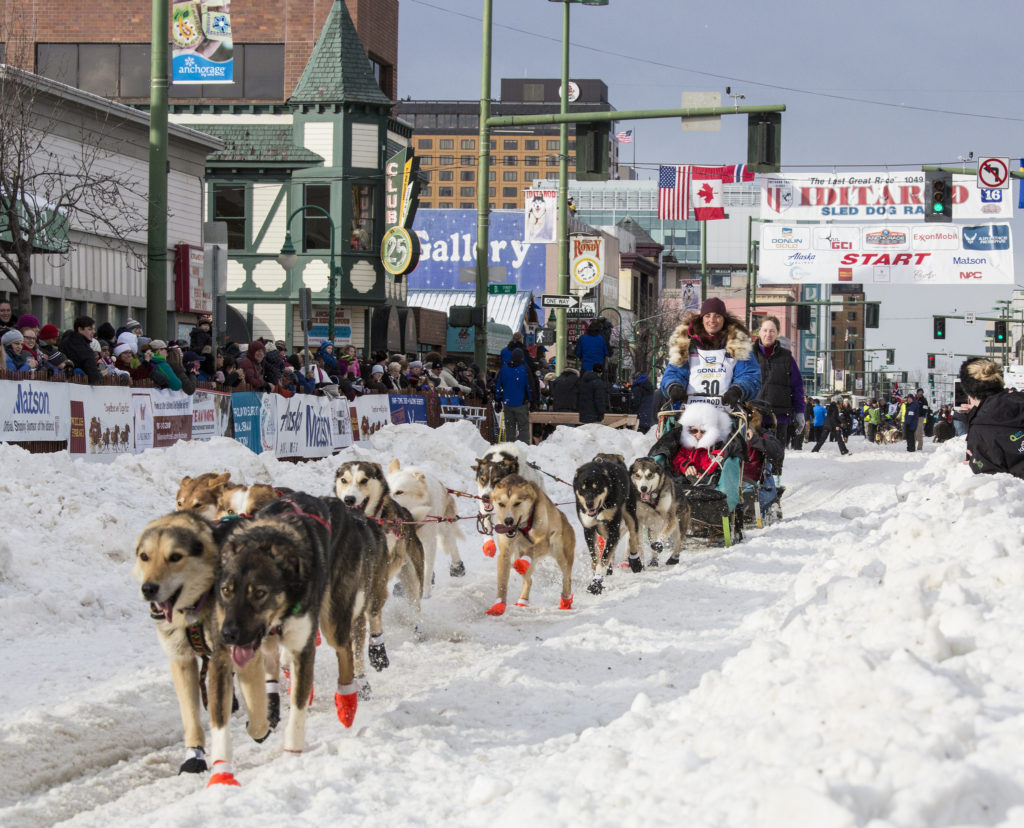 2019 Iditarod Anchorage Start