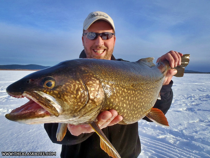 Ice Fishing Interior Alaska - Targeting 'The Big Three' Interior Lakes –  The Alaska Life