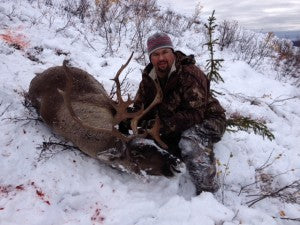 A beautiful Nelchina caribou.