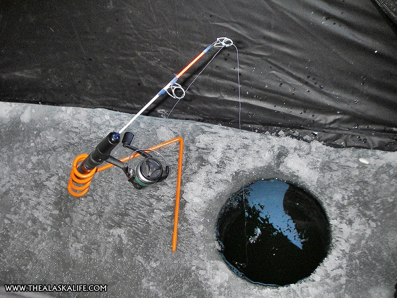 Ice Fishing Interior Alaska - Targeting 'The Big Three' Interior