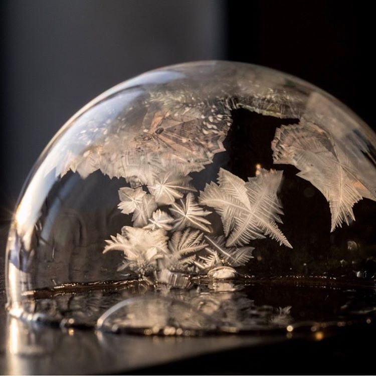 Frozen Bubble Photography