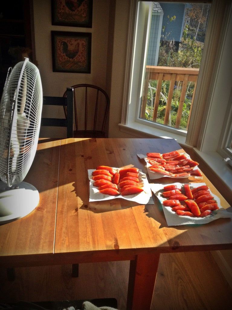 Alaskan Smoked Salmon Drying