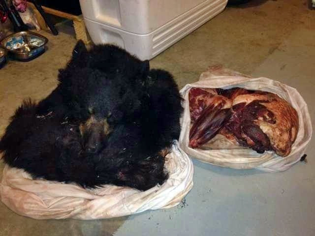 Black Bear meat is the best meat in Alaska : r/alaska
