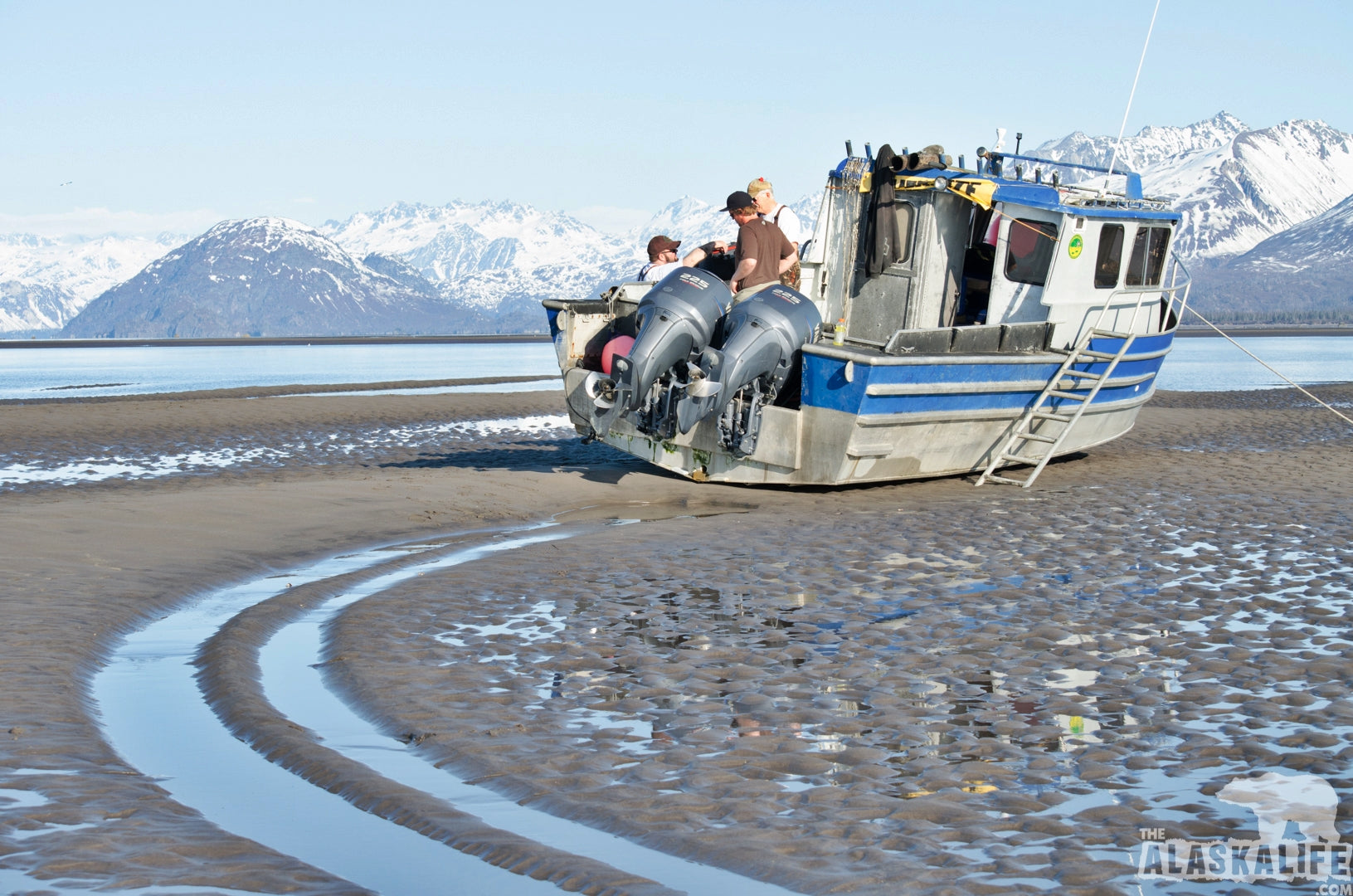 Alaska Clamming Digging Razor Clams The Alaska Life