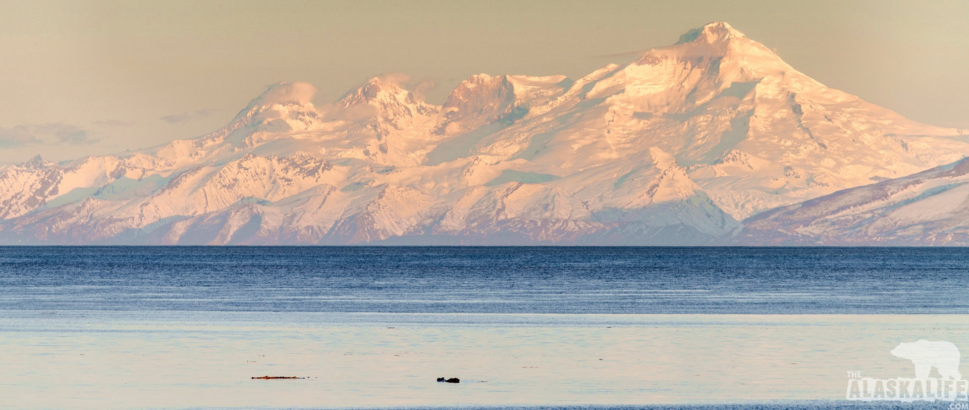Alaska Razor Clam Digging- Ninilchik Charters Alaska