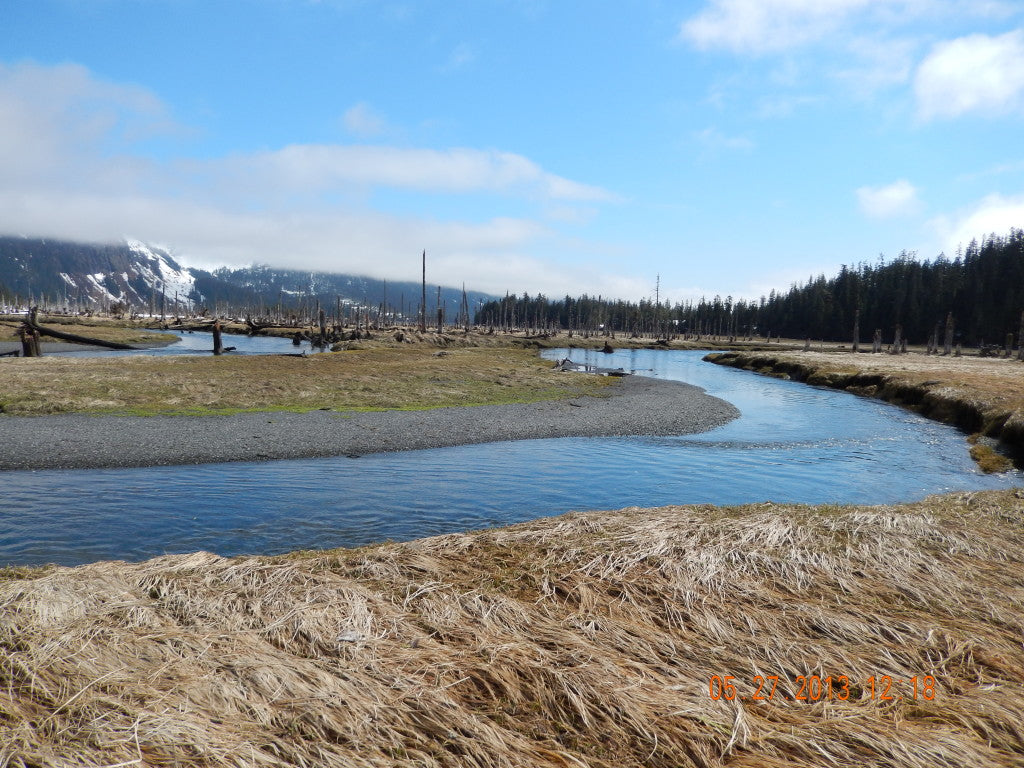 Alaska Spring Black Bear Hunt 