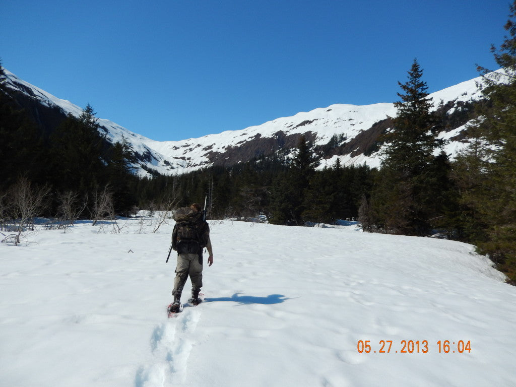 Alaska Spring Black Bear Hunt 