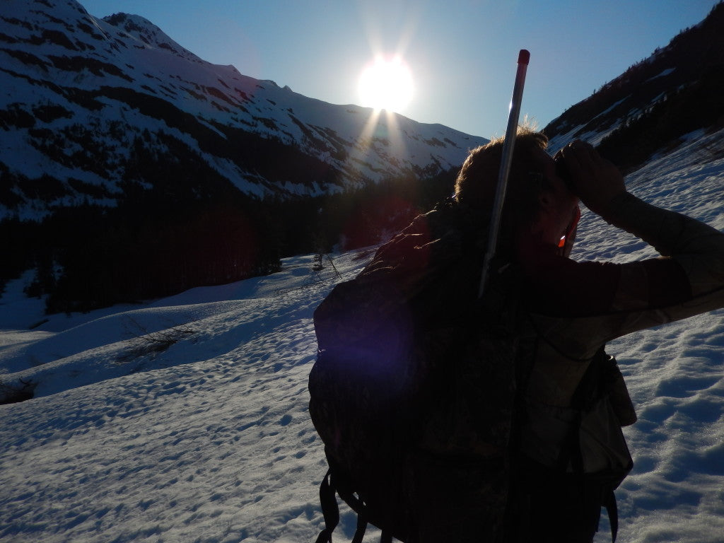 Alaska Spring Black Bear Hunt 