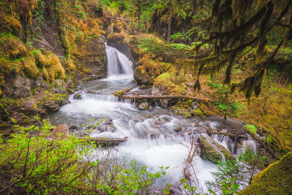 an image of Virgin Creek Trail, Girdwood Alaska