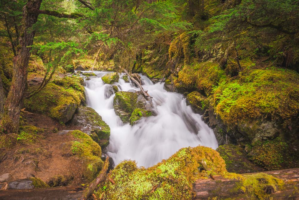 an image of Virgin Creek Trail, Girdwood Alaska