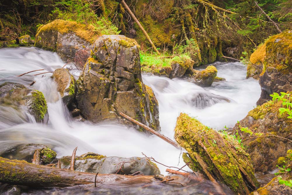 an image of Virgin Creek Trail, Girdwood Alaska