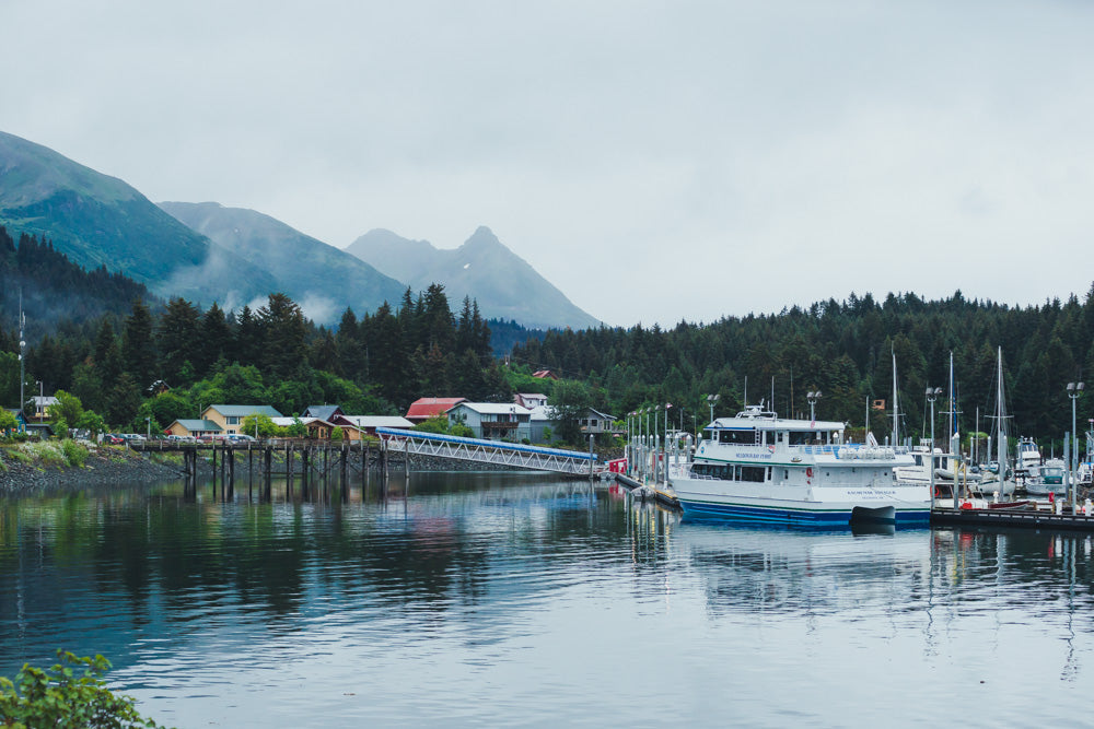 Seldovia from the water otterbahn trail seldovia cecil sanders photography last frontier magazine the alaska life