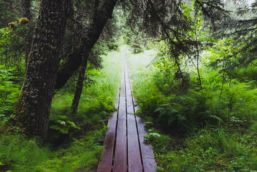 otterbahn trail seldovia cecil sanders photography last frontier magazine the alaska life