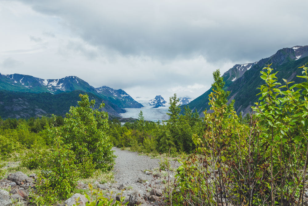 Grewingk Glacier hike