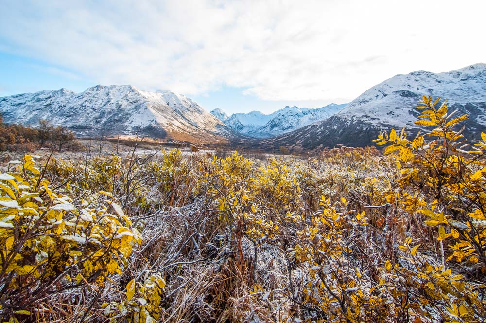 hatcher pass cecil sanders