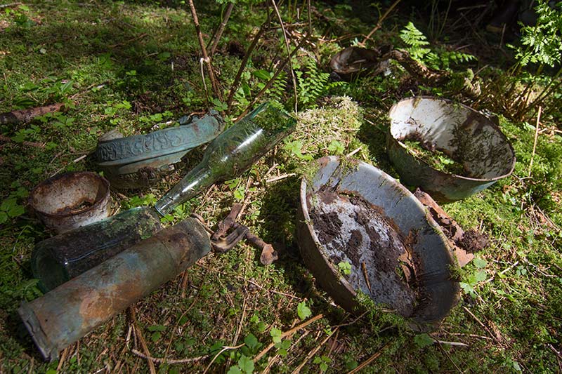 buried beneath moss in the ghost town of Amalga. 