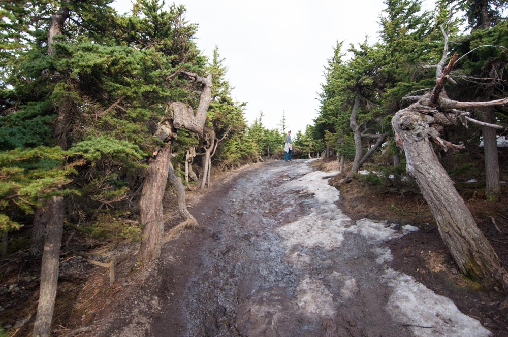 Let's Climb a Mountain - Flat Top