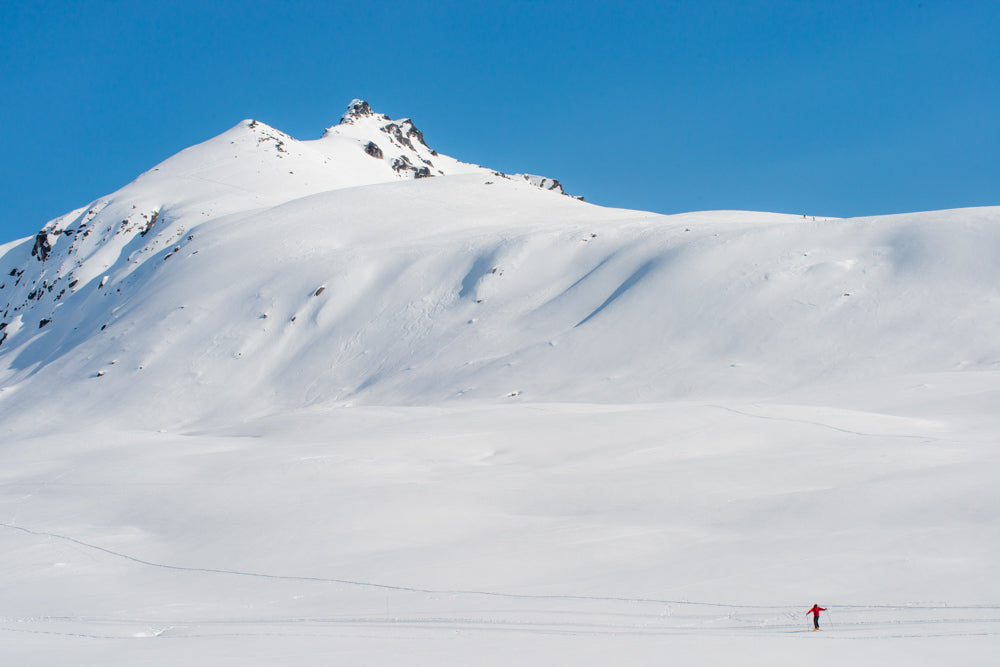 hatcher pass cecil sanders