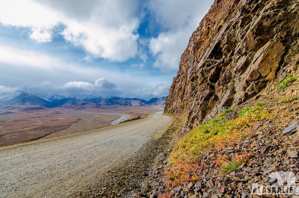 Denali Road Lottery Polychrome Pass