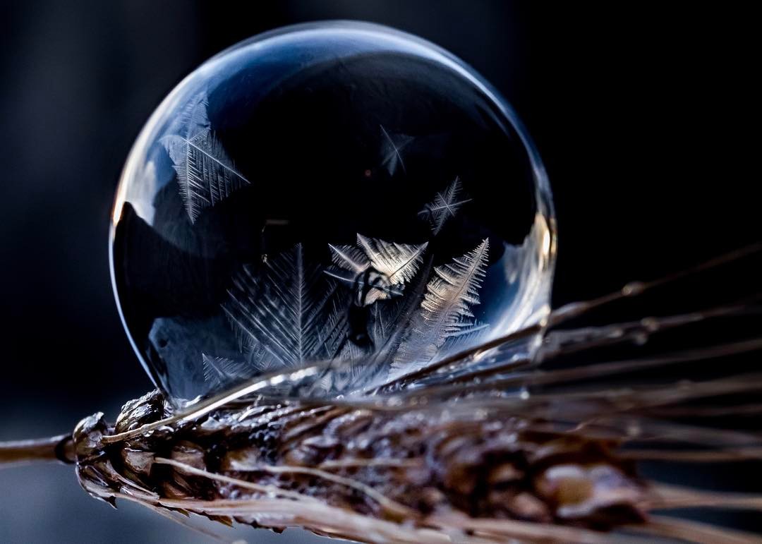 Frozen Bubble Photography