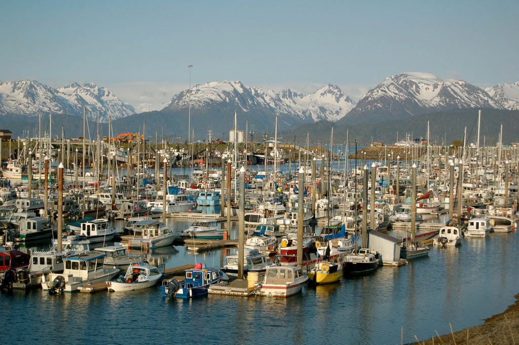 Kachemak Bay Alaska 