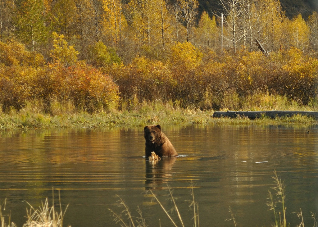 Girdwood, Alaska