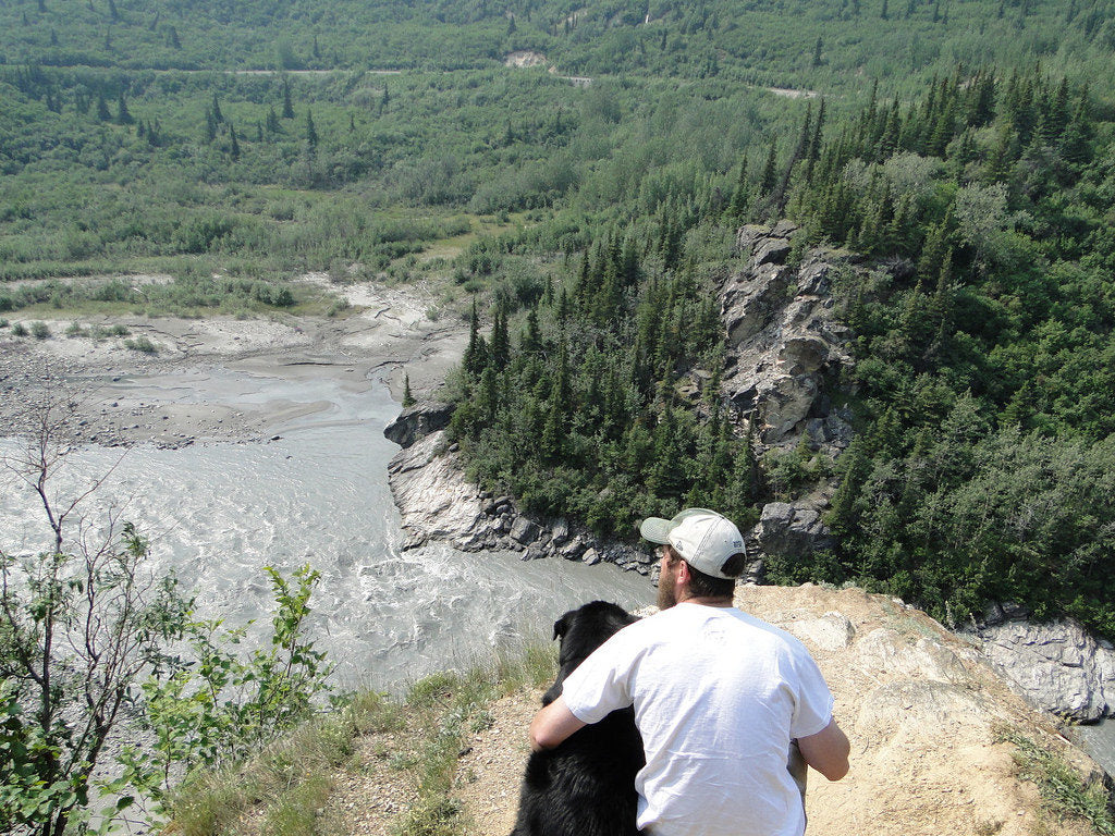 Alaska's Denali Highway