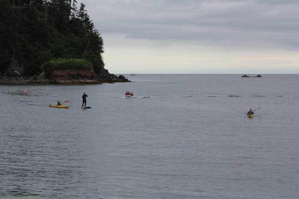 Kachemak Bay Alaska 