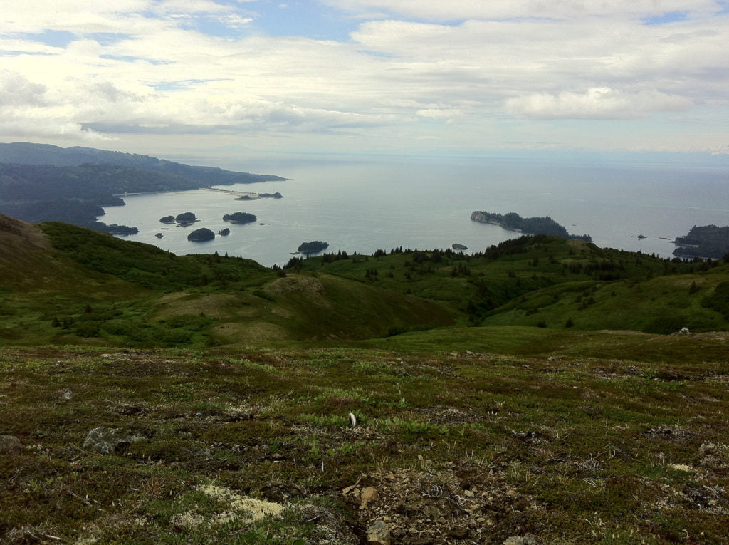 Kachemak Bay Alaska 