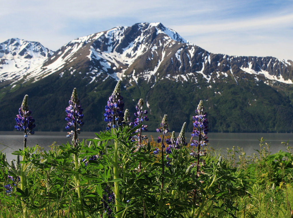 Girdwood, Alaska